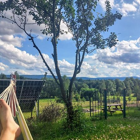 Maja Pokoje Z Widokiem Kameralna Agroturystyka Na Pogorzu Izerskim Z Sauna I Jacuzzi (Adults Only) Mirsk Eksteriør billede