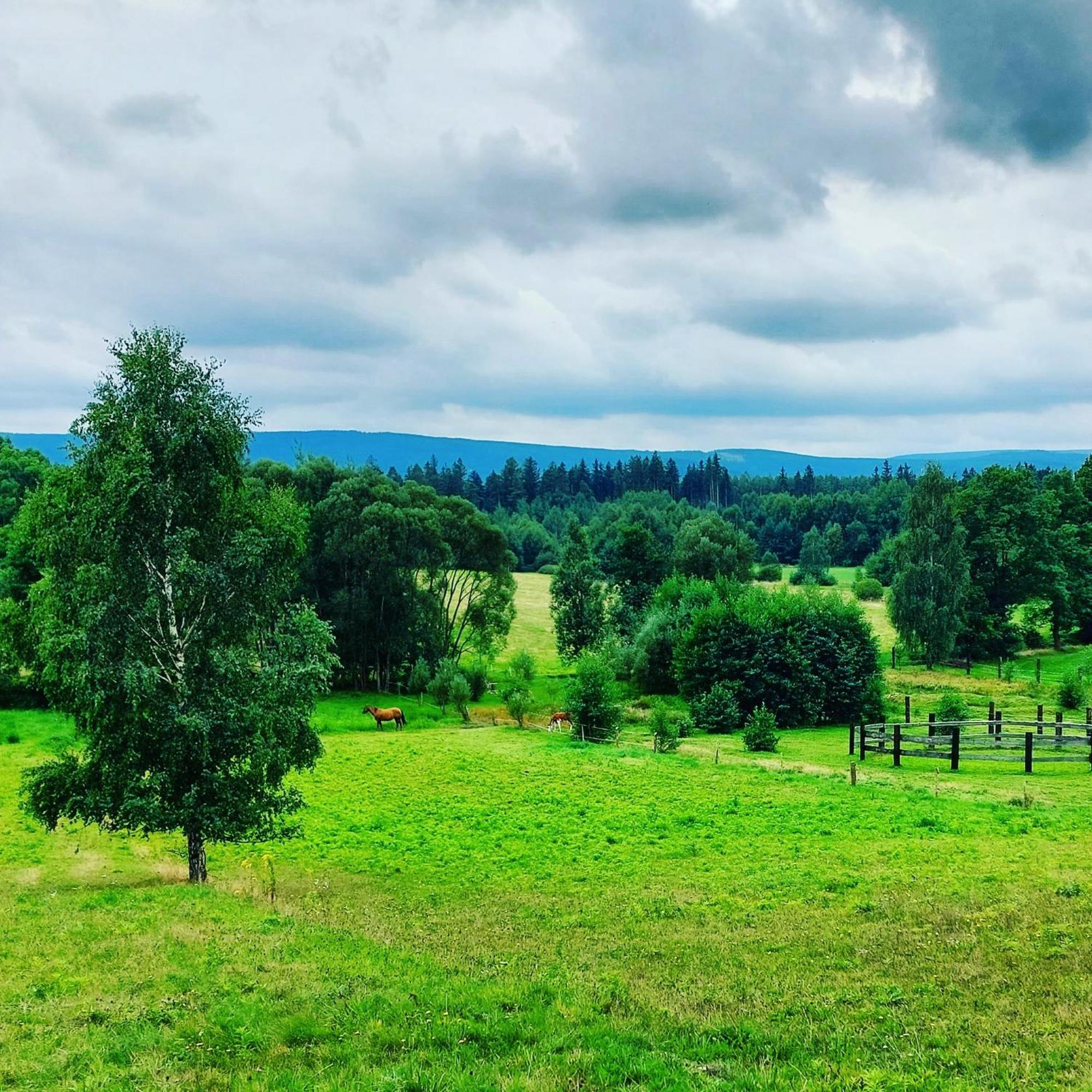 Maja Pokoje Z Widokiem Kameralna Agroturystyka Na Pogorzu Izerskim Z Sauna I Jacuzzi (Adults Only) Mirsk Eksteriør billede