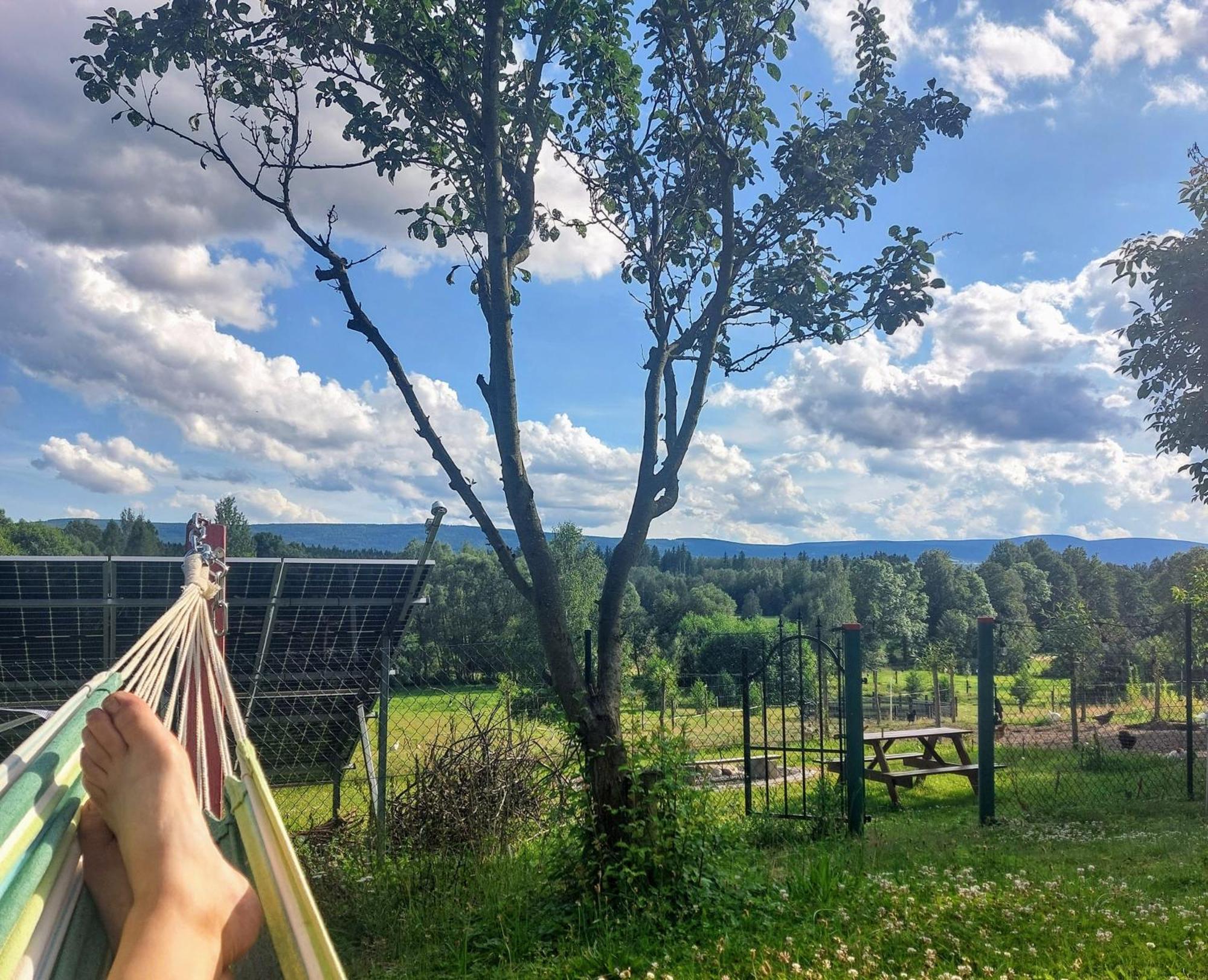 Maja Pokoje Z Widokiem Kameralna Agroturystyka Na Pogorzu Izerskim Z Sauna I Jacuzzi (Adults Only) Mirsk Eksteriør billede